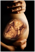 Baby in the Womb Baby in the Womb
